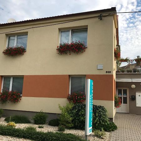 Apartment Corriger Ústí nad Orlicí Dış mekan fotoğraf