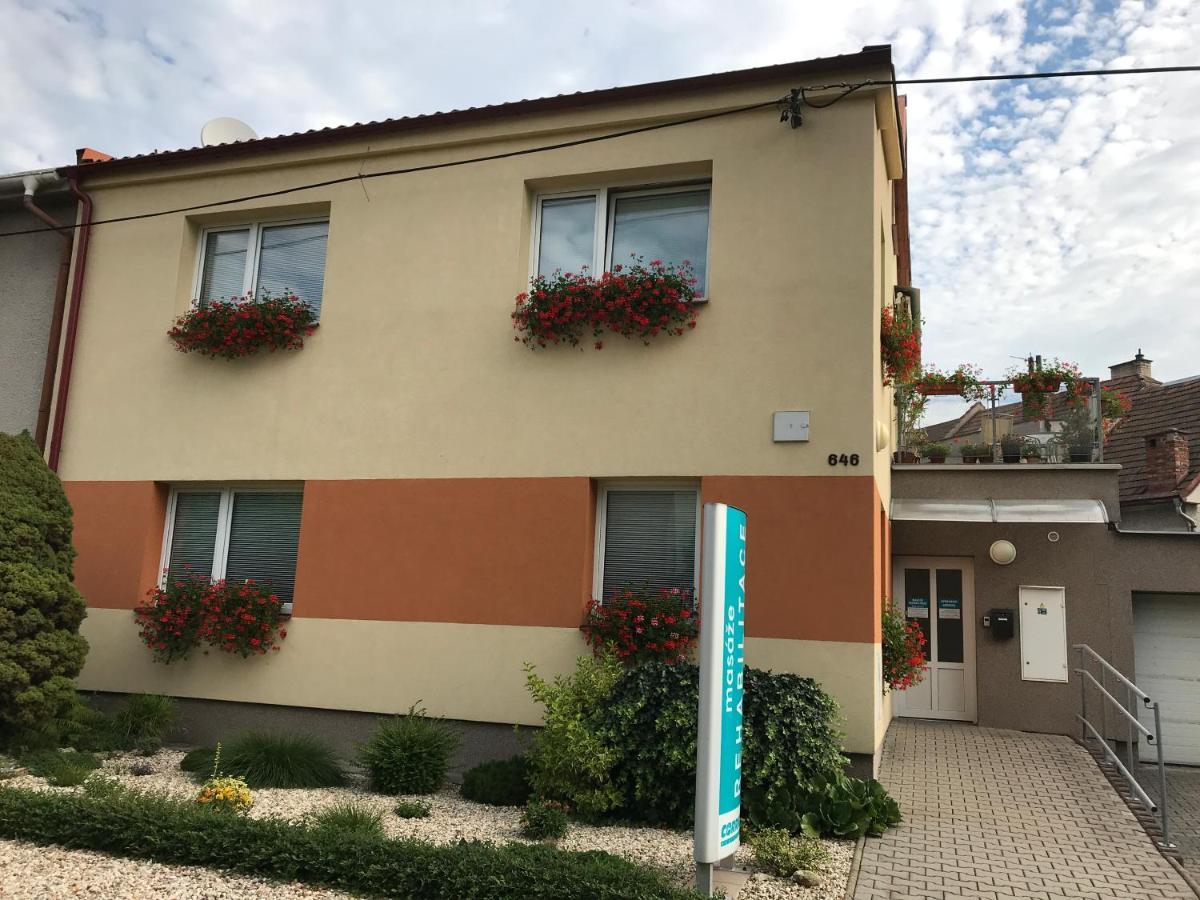 Apartment Corriger Ústí nad Orlicí Dış mekan fotoğraf