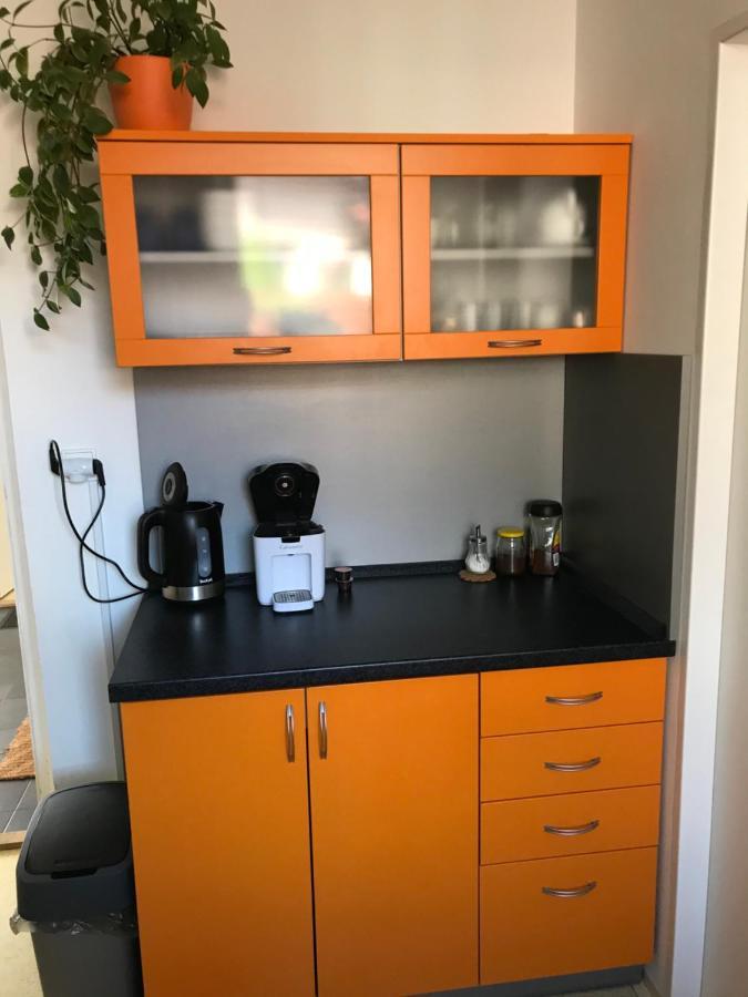 Apartment Corriger Ústí nad Orlicí Dış mekan fotoğraf