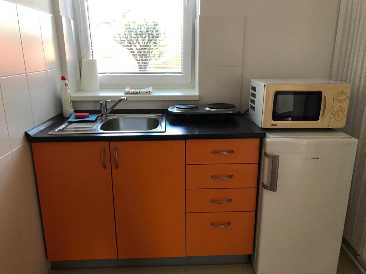 Apartment Corriger Ústí nad Orlicí Dış mekan fotoğraf
